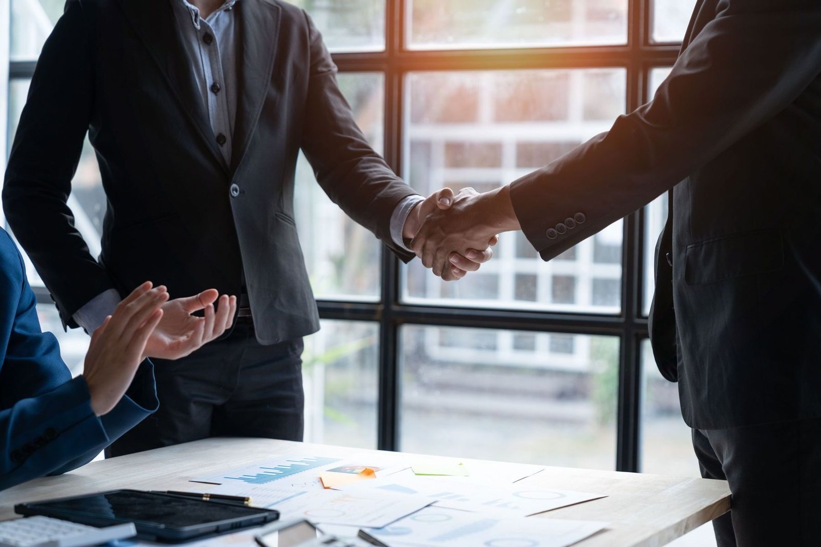 Business Venture Solution Consulting Services in India