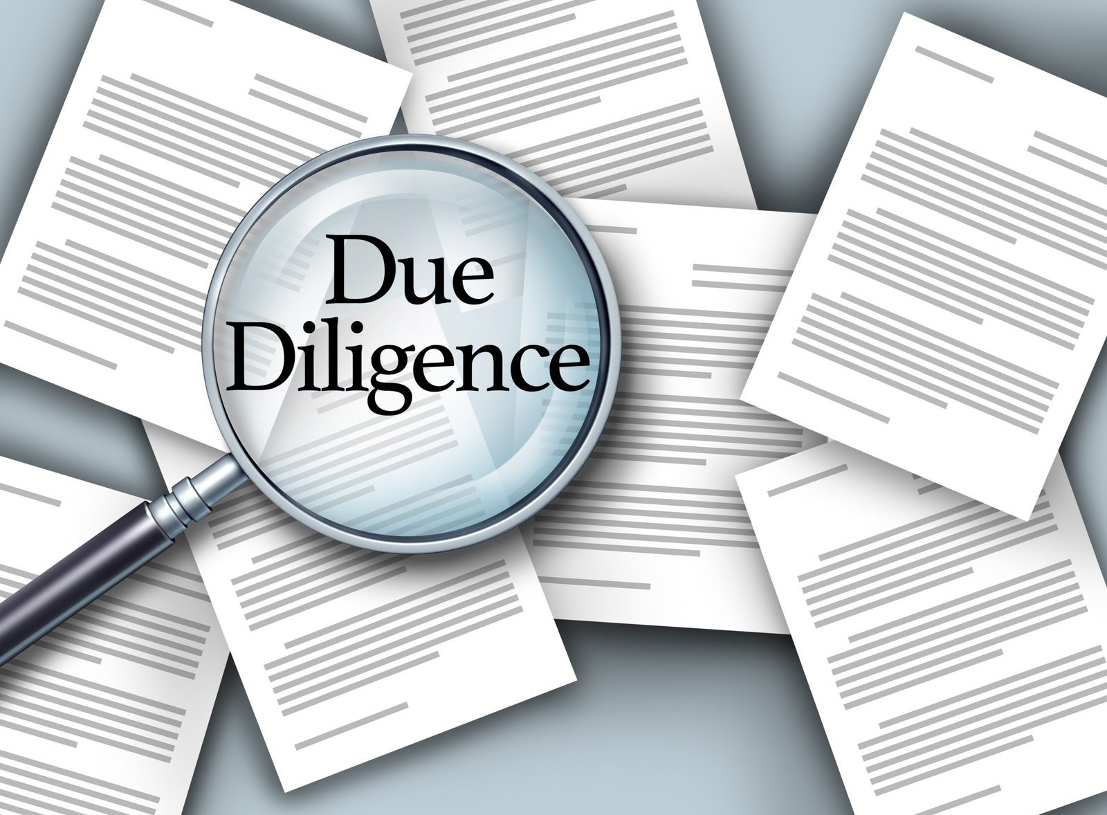 Financial Risk Due Diligence Services in India